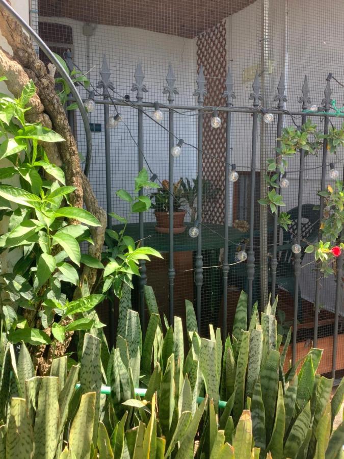Cortijo De La Fuente Apartment Albunol Екстериор снимка